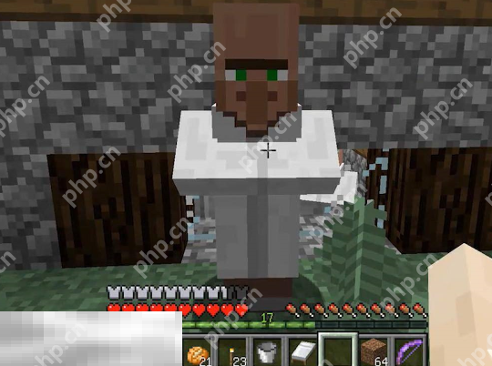 我的世界藏宝图怎么获取 海底遗迹寻找方法分享