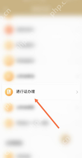 随申办通行证怎么申请