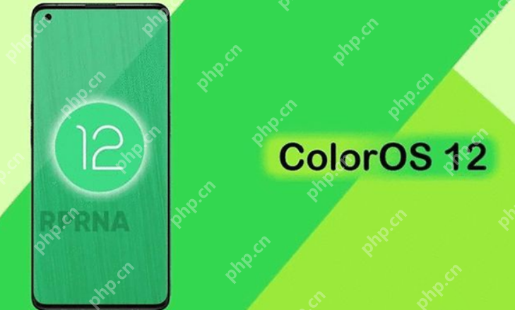 coloros12运行内存怎么看