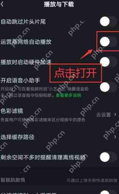 爱奇艺数据网络自动播放视频功能怎么打开插图2 爱奇艺数据网络自动播放视频功能怎么打开