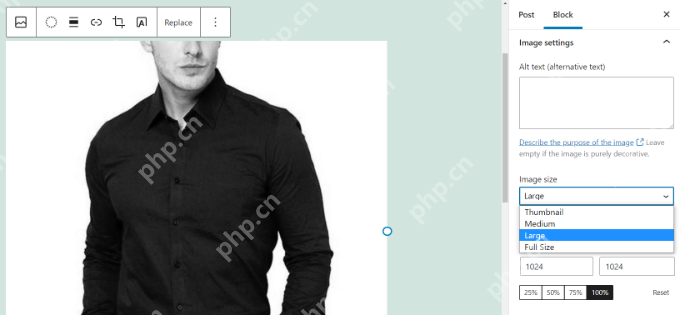 如何在 WordPress 中添加动画 GIF（正确的方法）