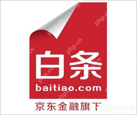 京东白条可以放心用吗 京东白条安全性评估解析