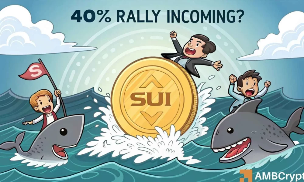 Sui Price爆炸了10％，4000万美元的流入率在即将减半之前进行了交流