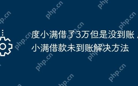 度小满借了3万但是没到账 度小满借款未到账解决方法