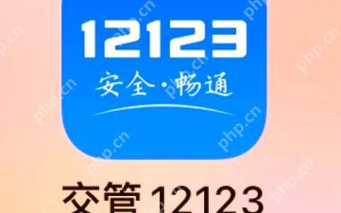 交管12123查询考试分数 一键查询驾考分数技巧详解