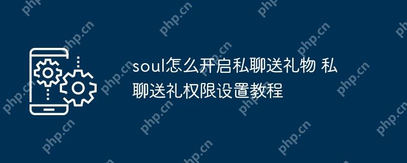 soul怎么开启私聊送礼物 私聊送礼权限设置教程插图 soul怎么开启私聊送礼物 私聊送礼权限设置教程