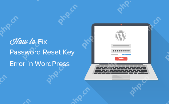 如何修复 WordPress 中的密码重置密钥错误