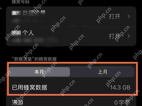 苹果手机实时流量数据怎么显示