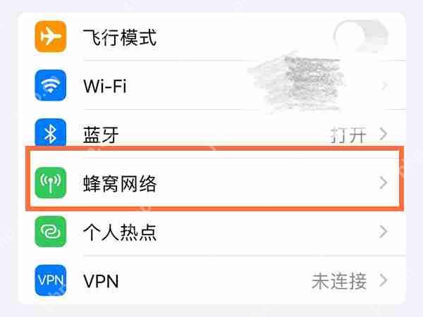 苹果手机实时流量数据怎么显示