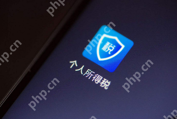 个人所得税提示国库退库失败怎么办