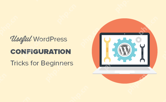 15 个你可能不知道的有用的 WordPress 配置技巧插图 15 个你可能不知道的有用的 WordPress 配置技巧