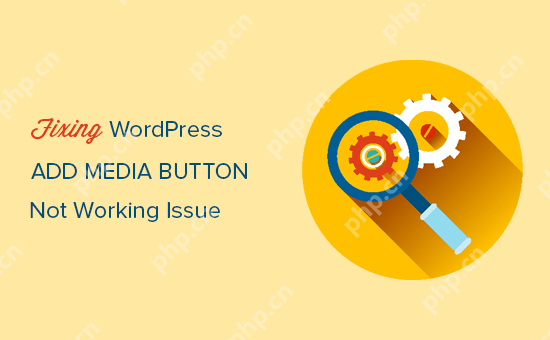 如何修复添加媒体按钮在 WordPress 中不起作用的问题