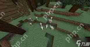 我的世界中如何将狗传送到指定位置-我的世界狗指定位置传送方法