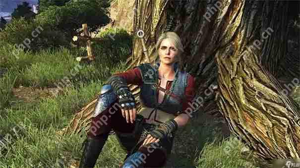 巫师3可以攻略的女角色