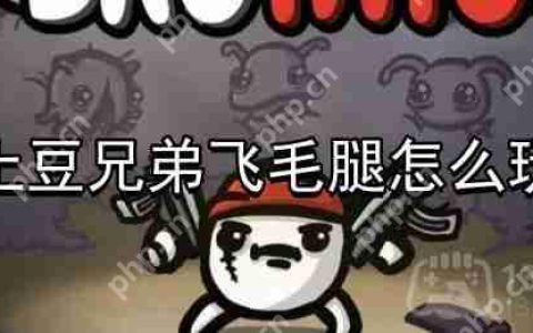 土豆兄弟飞毛腿怎么玩-飞毛腿攻略