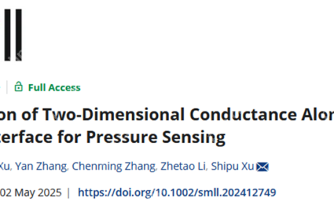 中山大学许适溥副教授团队在Small发表基于二维电导的压力传感器研究