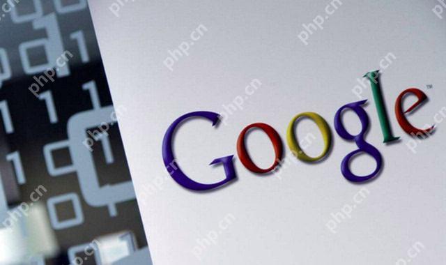 google怎么下载地图手机版下载软件