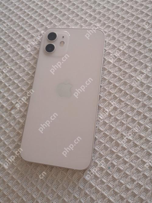 苹果手机安装应用时避免恶意软件的技巧