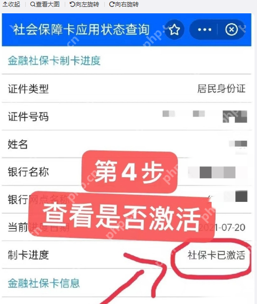 支付宝怎么查看社保激活状态 支付宝社保激活状态查看教程一览