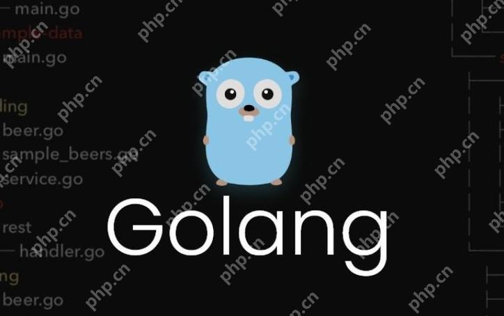 探讨 Go 语言在跨平台开发中的常见兼容性问题