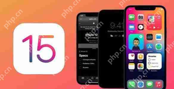 iOS15支持微信双开吗