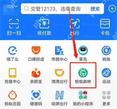 支付宝开运礼怎么领取