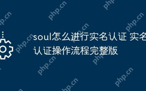 soul怎么进行实名认证 实名认证操作流程完整版