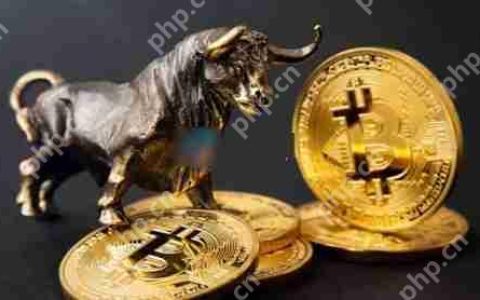 一文了解比特币减半满周年、涨逾三成！机构进场加速牛市