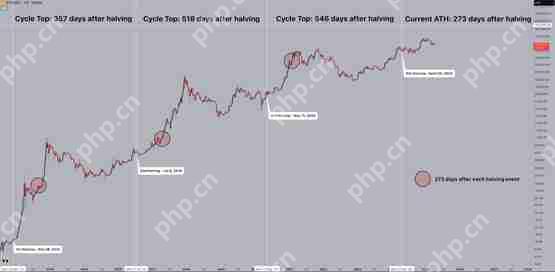 一文了解比特币减半满周年、涨逾三成！机构进场加速牛市