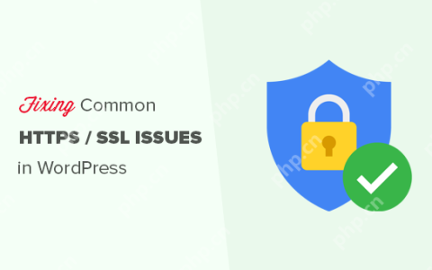 如何修复 WordPress 中的常见 SSL 问题（初学者指南）