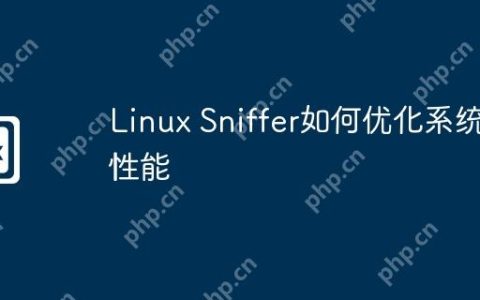 Linux Sniffer如何优化系统性能