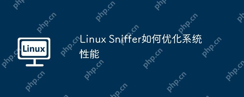 Linux Sniffer如何优化系统性能