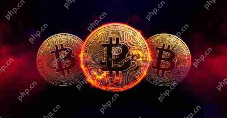 什么是比特币ETF?如何查询比特币ETF流入流出数据