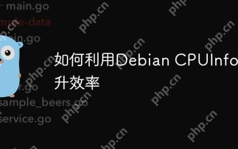 如何利用Debian CPUInfo提升效率