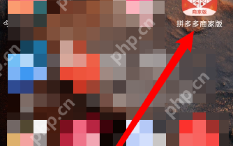 拼多多商家版最近登录记录在哪里看