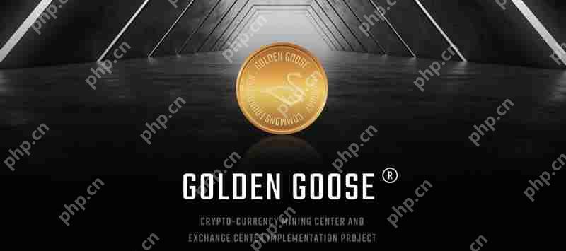 GOLD是什么币种？GOLD/黄金鹅币项目全面介绍