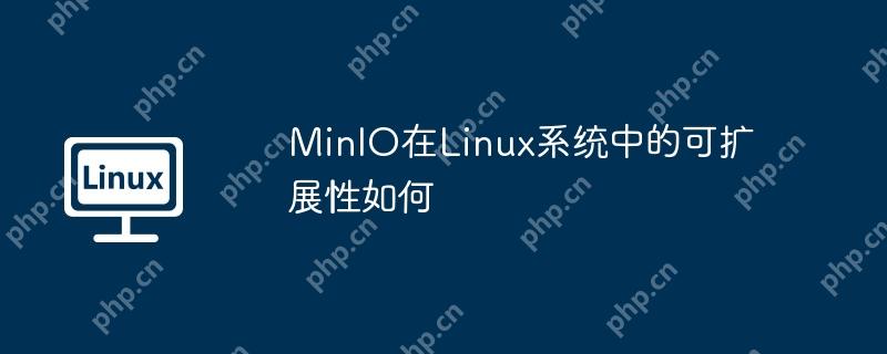 MinIO在Linux系统中的可扩展性如何