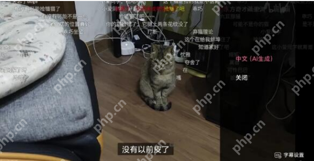 b站无障碍功能字幕设置步骤一览