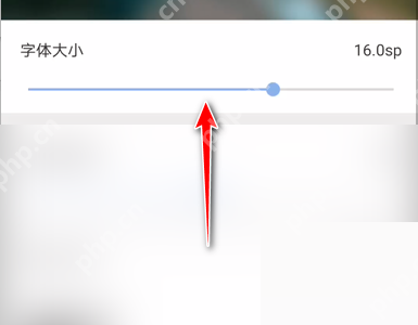 句子控字体大小如何设置