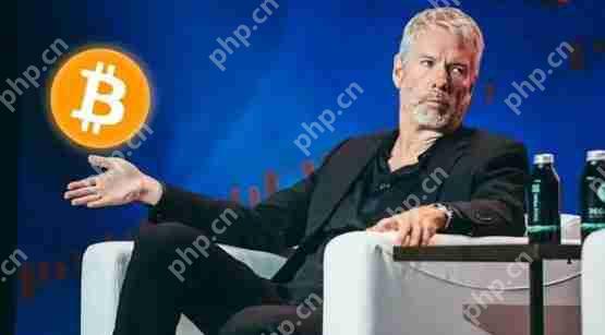 Michael Saylor分析：比特币未破新高原因是市场正进入筹 码轮动期