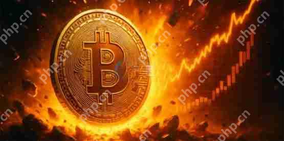 渣打银行分析：比特币再战新高指日可待 续攻12万美元更是毫不费力