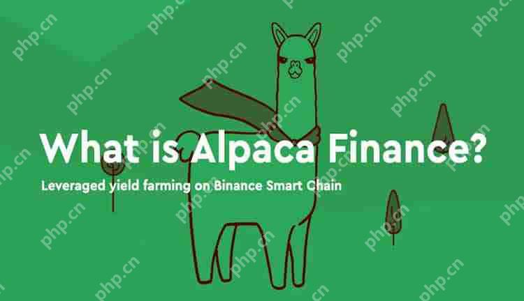 ALPACA币是什么？下架币安后币价飙涨，$ALPACA未来前景如何？