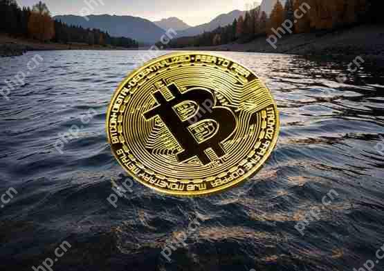 贝莱德IBIT比特币现货ETF连20日资金流入详解！高盛加码布局 成为市场关注焦点