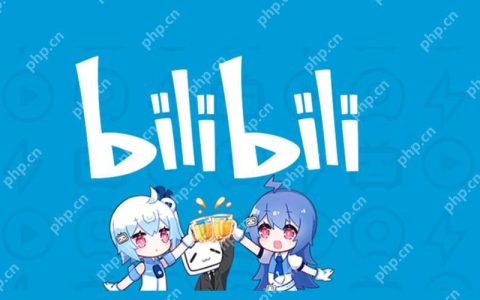 哔哩哔哩如何赚钱教程 B站变现方法全面教学