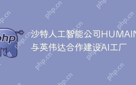 沙特人工智能公司HUMAIN将与英伟达合作建设AI工厂
