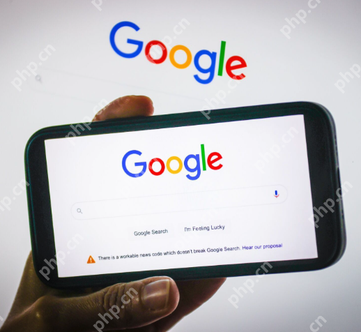 谷歌网站永久免费进入 谷歌在线浏览器免费入口2025 - 电脑知识网