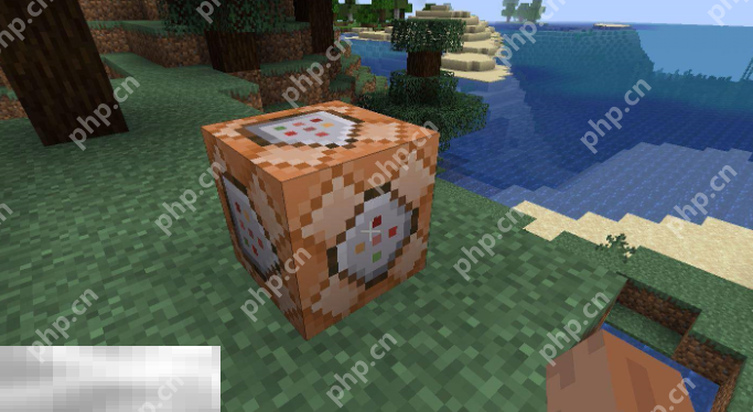 我的世界playanimation指令怎么用 指令详细使用方法介绍插图1 我的世界playanimation指令怎么用 指令详细使用方法介绍