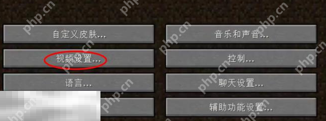 我的世界怎么调整分辨率 画面大小调整方法分享