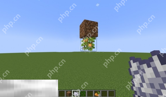 我的世界发光浆果怎么获取 发光浆果种植方法介绍插图4 我的世界发光浆果怎么获取 发光浆果种植方法介绍