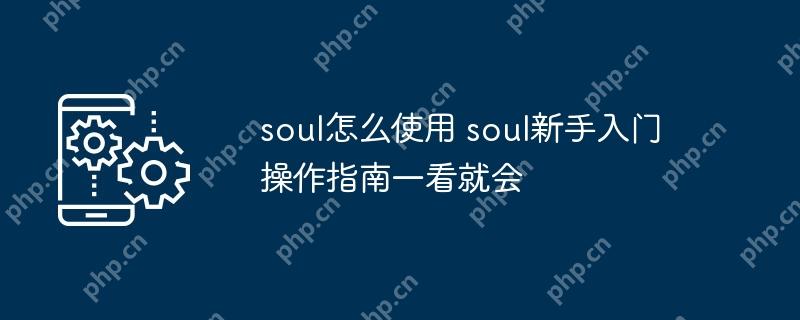 soul怎么使用 soul新手入门操作指南一看就会